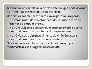 Após a fecundação dá se inicio do embrião, que pode ocorrer
no interior ou exterior do corpo materno.
Os animais podem ser Vivíparos, ovovíparos ou ovíparos.
 Nos Vivíparos o desenvolvimento do embrião ocorre no
interior do corpo materno.
 Nos Ovovivíparos o desenvolvimento do embrião ocorre
dentro do ovo mas no interior do corpo materno.
 Nos Ovíparos o desenvolvimento do embrião ocorre
dentro do ovo mas fora do corpo materno.
Neste ultimo caso diz-se que os animais passam por
metamorfose até atingirem a fase adulta.
 