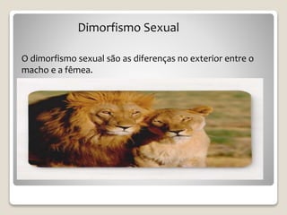 Dimorfismo Sexual
O dimorfismo sexual são as diferenças no exterior entre o
macho e a fêmea.
 