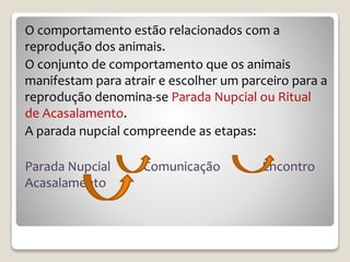 O comportamento estão relacionados com a
reprodução dos animais.
O conjunto de comportamento que os animais
manifestam para atrair e escolher um parceiro para a
reprodução denomina-se Parada Nupcial ou Ritual
de Acasalamento.
A parada nupcial compreende as etapas:
Parada Nupcial Comunicação Encontro
Acasalamento
 