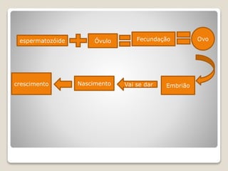 espermatozóide Óvulo Fecundação Ovo
EmbriãoVai se darNascimentocrescimento
 