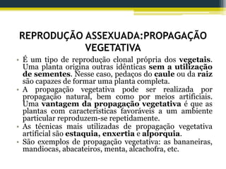 REPRODUÇÃO ASSEXUADA:PROPAGAÇÃO
VEGETATIVA
• É um tipo de reprodução clonal própria dos vegetais.
Uma planta origina outras idênticas sem a utilização
de sementes. Nesse caso, pedaços do caule ou da raiz
são capazes de formar uma planta completa.
• A propagação vegetativa pode ser realizada por
propagação natural, bem como por meios artificiais.
Uma vantagem da propagação vegetativa é que as
plantas com características favoráveis a um ambiente
particular reproduzem-se repetidamente.
• As técnicas mais utilizadas de propagação vegetativa
artificial são estaquia, enxertia e alporquia.
• São exemplos de propagação vegetativa: as bananeiras,
mandiocas, abacateiros, menta, alcachofra, etc.
 