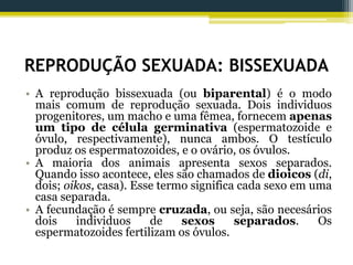 REPRODUÇÃO SEXUADA: BISSEXUADA
• A reprodução bissexuada (ou biparental) é o modo
mais comum de reprodução sexuada. Dois individuos
progenitores, um macho e uma fêmea, fornecem apenas
um tipo de célula germinativa (espermatozoide e
óvulo, respectivamente), nunca ambos. O testículo
produz os espermatozoides, e o ovário, os óvulos.
• A maioria dos animais apresenta sexos separados.
Quando isso acontece, eles são chamados de dioicos (di,
dois; oikos, casa). Esse termo significa cada sexo em uma
casa separada.
• A fecundação é sempre cruzada, ou seja, são necesários
dois individuos de sexos separados. Os
espermatozoides fertilizam os óvulos.
 