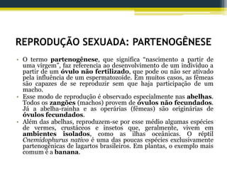 REPRODUÇÃO SEXUADA: PARTENOGÊNESE
• O termo partenogênese, que significa “nascimento a partir de
uma virgem”, faz referencia ao desenvolvimento de um individuo a
partir de um óvulo não fertilizado, que pode ou não ser ativado
pela influência de um espermatozoide. Em muitos casos, as fêmeas
são capazes de se reproduzir sem que haja participação de um
macho.
• Esse modo de reprodução é observado especialmente nas abelhas.
Todos os zangões (machos) provem de óvulos não fecundados.
Já a abelha-rainha e as operárias (fêmeas) são originárias de
óvulos fecundados.
• Além das abelhas, reproduzem-se por esse médio algumas espécies
de vermes, crustáceos e insetos que, geralmente, vivem em
ambientes isolados, como as ilhas oceânicas. O réptil
Cnemidophurus nativo é uma das poucas espécies exclusivamente
partenogênicas de lagartos brasileiros. Em plantas, o exemplo mais
comum é a banana.
 