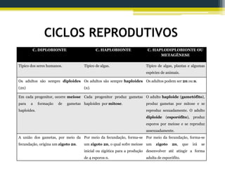 CICLOS REPRODUTIVOS
C. DIPLOBIONTE C. HAPLOBIONTE C. HAPLODIPLOBIONTE OU
METAGÊNESE
Típico dos seres humanos. Típico de algas. Típico de algas, plantas e algumas
espécies de animais.
Os adultos são sempre diploides
(2n)
Os adultos são sempre haploides
(n).
Os adultos podem ser 2n ou n.
Em cada progenitor, ocorre meiose
para a formação de gametas
haploides.
Cada progenitor produz gametas
haploides por mitose.
O adulto haploide (gametófito),
produz gametas por mitose e se
reproduz sexuadamente. O adulto
diploide (esporófito), produz
esporos por meiose e se reproduz
assexuadamente.
A união dos gametas, por meio da
fecundação, origina um zigoto 2n.
Por meio da fecundação, forma-se
um zigoto 2n, o qual sofre meiose
inicial ou zigótica para a produção
de 4 esporos n.
Por meio da fecundação, forma-se
um zigoto 2n, que irá se
desenvolver até atingir a forma
adulta de esporófito.
 