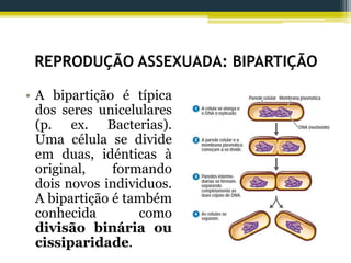 REPRODUÇÃO ASSEXUADA: BIPARTIÇÃO
• A bipartição é típica
dos seres unicelulares
(p. ex. Bacterias).
Uma célula se divide
em duas, idénticas à
original, formando
dois novos individuos.
A bipartição é também
conhecida como
divisão binária ou
cissiparidade.
 