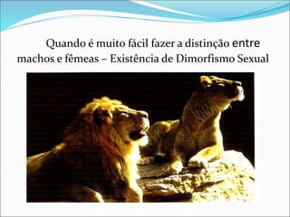 Quando é muito fácil fazer a distinção entre
machos e fêmeas – Existência de Dimorfismo Sexual
 