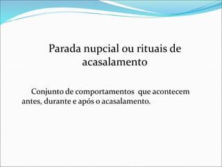 Parada nupcial ou rituais de
acasalamento
Conjunto de comportamentos que acontecem
antes, durante e após o acasalamento.
 