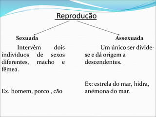 Reprodução
Sexuada Assexuada
Intervêm dois
indivíduos de sexos
diferentes, macho e
fêmea.
Ex. homem, porco , cão
Um único ser divide-
se e dá origem a
descendentes.
Ex: estrela do mar, hidra,
anémona do mar.
 