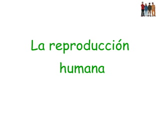 La reproducción humana 