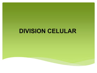 DIVISION CELULAR
 