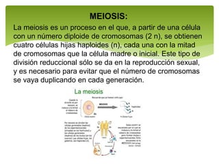 MEIOSIS:
La meiosis es un proceso en el que, a partir de una célula
con un número diploide de cromosomas (2 n), se obtienen
cuatro células hijas haploides (n), cada una con la mitad
de cromosomas que la célula madre o inicial. Este tipo de
división reduccional sólo se da en la reproducción sexual,
y es necesario para evitar que el número de cromosomas
se vaya duplicando en cada generación.
 