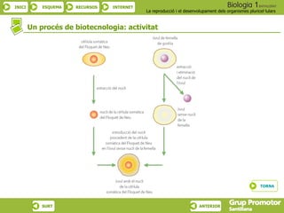 Un procés de biotecnologia: activitat TORNA 