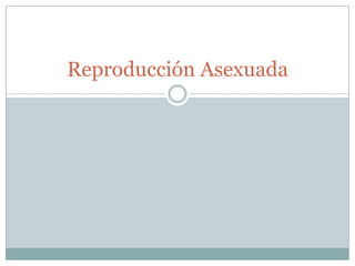 Reproducción Asexuada
 