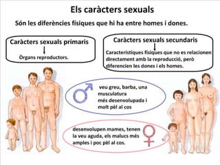 Reproducció. maite abad