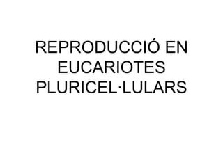 REPRODUCCIÓ EN
  EUCARIOTES
PLURICEL·LULARS
 