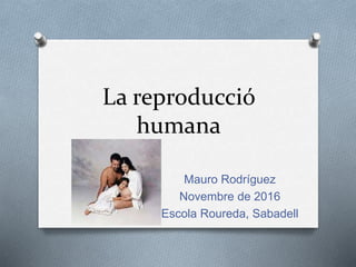 La reproducció
humana
Mauro Rodríguez
Novembre de 2016
Escola Roureda, Sabadell
 