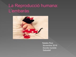 Natalia Ruiz
Novembre 2016
Escola roureda
Sabadell
 