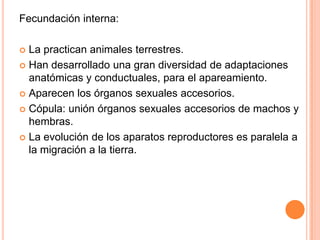 Liberan una gran cantidad de gametos.