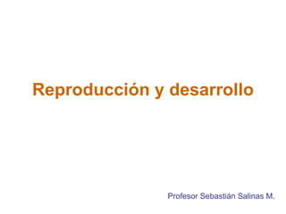 Reproducción y desarrollo Profesor Sebastián Salinas M. 