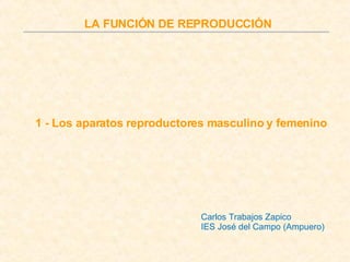 LA FUNCIÓN DE REPRODUCCIÓN 1 - Los aparatos reproductores masculino y femenino Carlos Trabajos Zapico IES José del Campo (Ampuero) 