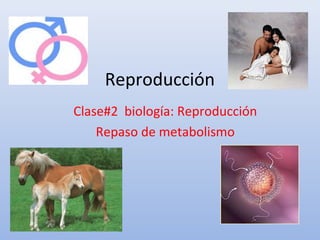 Reproducción
Clase#2 biología: Reproducción
Repaso de metabolismo
 