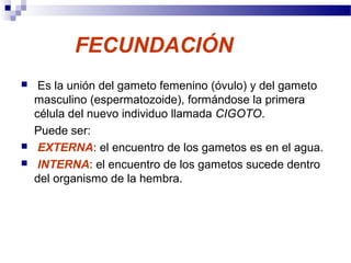 FECUNDACIÓN
 Es la unión del gameto femenino (óvulo) y del gameto
masculino (espermatozoide), formándose la primera
célula del nuevo individuo llamada CIGOTO.
Puede ser:
 EXTERNA: el encuentro de los gametos es en el agua.
 INTERNA: el encuentro de los gametos sucede dentro
del organismo de la hembra.
 