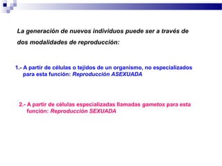 La generación de nuevos individuos puede ser a través de
dos modalidades de reproducción:
1.- A partir de células o tejidos de un organismo, no especializados
para esta función: Reproducción ASEXUADA
2.- A partir de células especializadas llamadas gametos para esta
función: Reproducción SEXUADA
 