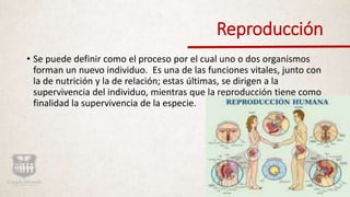 Reproducción
• Se puede definir como el proceso por el cual uno o dos organismos
forman un nuevo individuo. Es una de las funciones vitales, junto con
la de nutrición y la de relación; estas últimas, se dirigen a la
supervivencia del individuo, mientras que la reproducción tiene como
finalidad la supervivencia de la especie.
 