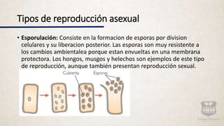 Tipos de reproducción asexual
• Esporulación: Consiste en la formacion de esporas por division
celulares y su liberacion posterior. Las esporas son muy resistente a
los cambios ambientalea porque estan envueltas en una membrana
protectora. Los hongos, musgos y helechos son ejemplos de este tipo
de reproducción, aunque también presentan reproducción sexual.
 