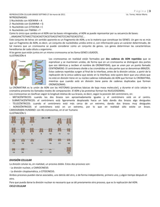 Reproducción celular-2011