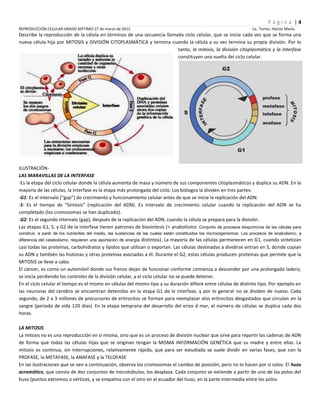 Reproducción celular-2011