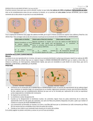 Reproducción celular-2011