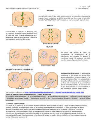 Reproducción celular-2011
