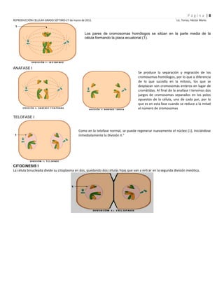 Reproducción celular-2011