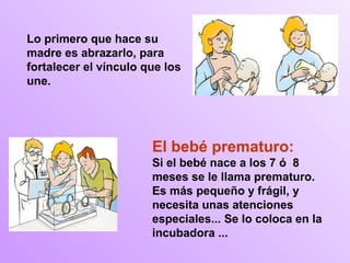 Lo primero que hace su
madre es abrazarlo, para
fortalecer el vínculo que los
une.




                       El bebé prematuro:
                       Si el bebé nace a los 7 ó 8
                       meses se le llama prematuro.
                       Es más pequeño y frágil, y
                       necesita unas atenciones
                       especiales... Se lo coloca en la
                       incubadora ...
 