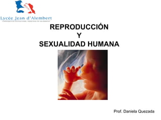 REPRODUCCIÓN
Y
SEXUALIDAD HUMANA
Prof. Daniela Quezada
 