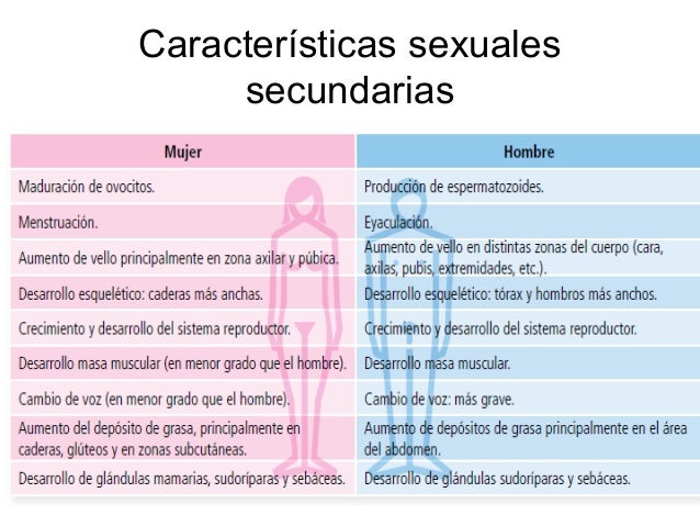 Sexualidad y Reproducción Humana