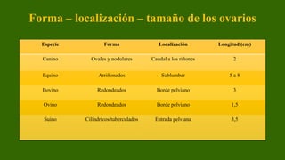 Reproducci n En Medicina Veterinaria Aparato Reproductor PDF reproducci-n-en-medicina-veterinaria-aparato-reproductor-pdf