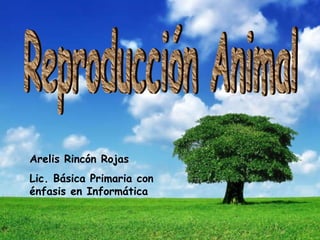 Arelis Rincón Rojas Lic. Básica Primaria con énfasis en Informática Reproducción Animal 
