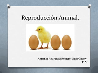 Reproducción Animal.




     Alumno: Rodríguez Romero, Jhon Charly
                                      2° A
 