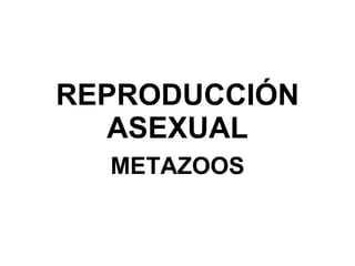 REPRODUCCIÓN ASEXUAL METAZOOS 