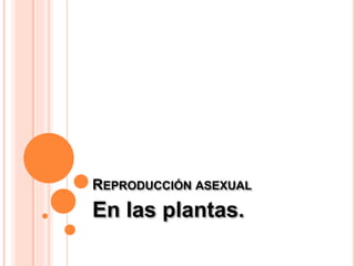 REPRODUCCIÓN ASEXUAL
En las plantas.
 