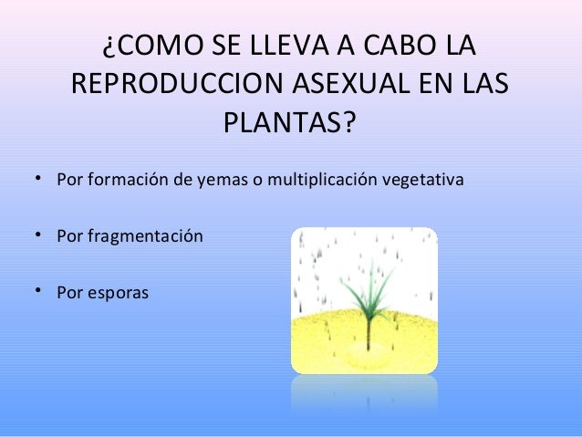 Reproducción asexual en las plantas
