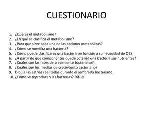 CUESTIONARIO
1. ¿Qué es el metabolismo?
2. ¿En qué se clasifica el metabolismo?
3. ¿Para que sirve cada una de las acciones metabólicas?
4. ¿Cómo se moviliza una bacteria?
5. ¿Cómo puede clasificarse una bacteria en función a su necesidad de O2?
6. ¿A partir de que componentes puede obtener una bacteria sus nutrientes?
7. ¿Cuáles son las fases de crecimiento bacteriano?
8. ¿Cuáles son los medios de crecimiento bacteriano?
9. Dibuja las estrías realizadas durante el sembrado bacteriano
10. ¿Cómo se reproducen las bacterias? Dibuja
 