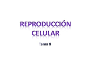 Reproducción celular Tema 8 