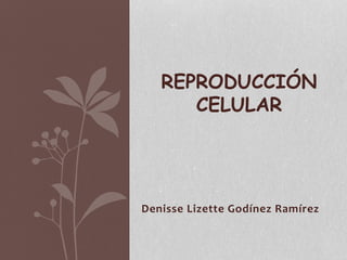 REPRODUCCIÓN 
CELULAR 
Denisse Lizette Godínez Ramírez 
 
