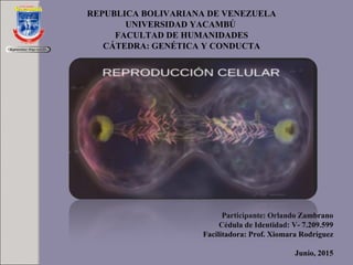 REPUBLICA BOLIVARIANA DE VENEZUELA
UNIVERSIDAD YACAMBÚ
FACULTAD DE HUMANIDADES
CÁTEDRA: GENÉTICA Y CONDUCTA
Participante: Orlando Zambrano
Cédula de Identidad: V- 7.209.599
Facilitadora: Prof. Xiomara Rodríguez
Junio, 2015
 