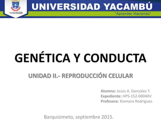 GENÉTICA Y CONDUCTA
UNIDAD II.- REPRODUCCIÓN CELULAR
Alumno: Jesús A. González T.
Expediente: HPS-152-00040V
Profesora: Xiomara Rodríguez.
Barquisimeto, septiembre 2015.
 