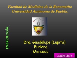 Dra. Guadalupe (Lupita)
Furlong
Mercado.
Facultad de Medicina de la Benemérita
Universidad Autónoma de Puebla.
Enero 2014
 