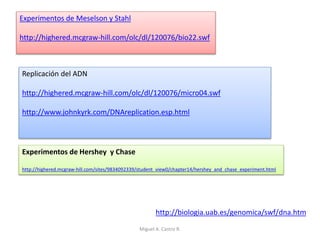 http://biologia.uab.es/genomica/swf/dna.htm
Experimentos de Meselson y Stahl
http://highered.mcgraw-hill.com/olc/dl/120076/bio22.swf
Replicación del ADN
http://highered.mcgraw-hill.com/olc/dl/120076/micro04.swf
http://www.johnkyrk.com/DNAreplication.esp.html
Experimentos de Hershey y Chase
http://highered.mcgraw-hill.com/sites/9834092339/student_view0/chapter14/hershey_and_chase_experiment.html
Miguel A. Castro R.
 